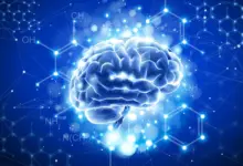 Cientistas de Stanford usam aditivo alimentar em estudo sobre mini cérebros