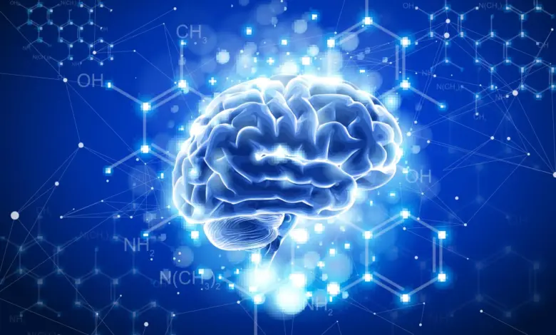 Cientistas de Stanford usam aditivo alimentar em estudo sobre mini cérebros