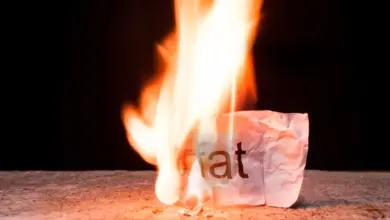 Pesquisa revela mecanismo oculto que acelera o metabolismo