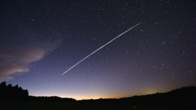 Starlink enfrenta desafios enquanto satélites caem do céu