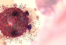 Cientistas revelam em pesquisa por que imunoterapia falha