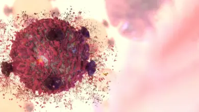 Cientistas revelam em pesquisa por que imunoterapia falha