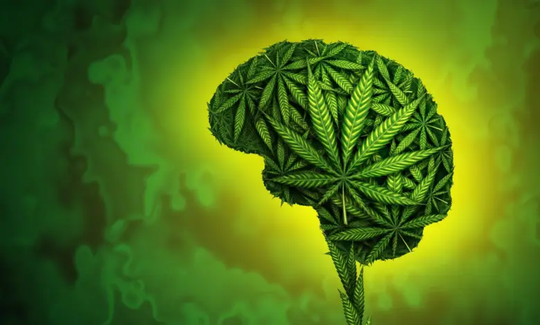 Estudo revela como o DNA influencia uso de cannabis