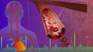 Cientistas identificam pulso cerebral em estudo sobre Alzheimer