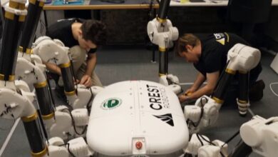 Charlotte Robot pretende construir casa de 200 m² em 24 horas
