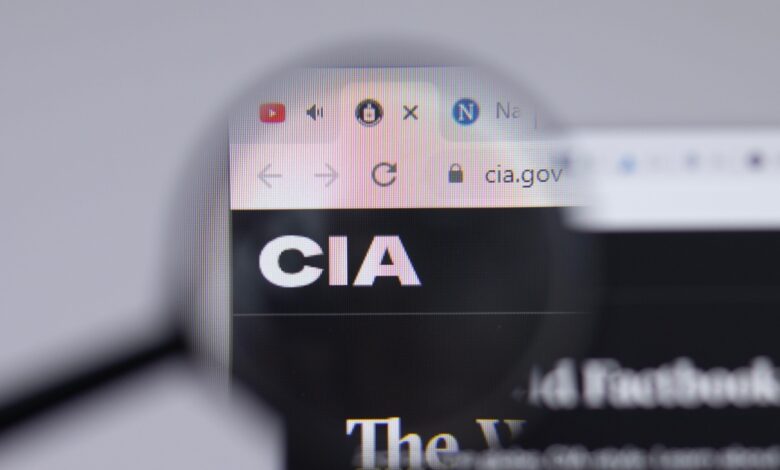 Ataque de ransomware impulsiona carreira em cibersegurança