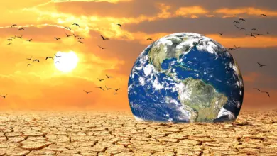 Estudo aponta marco crítico nas mudanças climáticas globais
