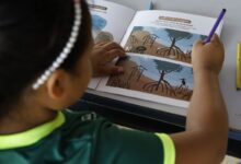 MEC promove conferência sobre educação e justiça climática