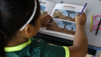 MEC promove conferência sobre educação e justiça climática