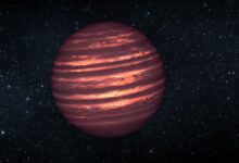 JWST descobre anã marrom e renova busca por vida em Vênus