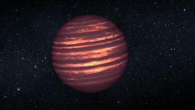 JWST descobre anã marrom e renova busca por vida em Vênus