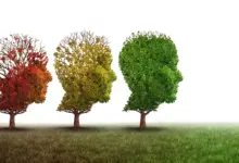 Cientistas realizam estudo que reverte envelhecimento cerebral em camundongos