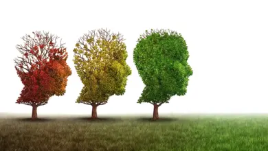 Cientistas realizam estudo que reverte envelhecimento cerebral em camundongos