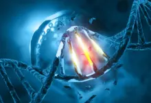 Pesquisa revela evolução genética torna esperma paterno mais arriscado