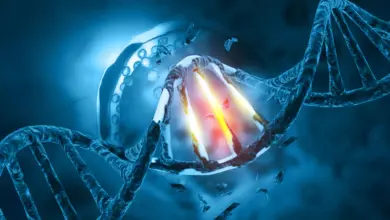 Pesquisa revela evolução genética torna esperma paterno mais arriscado
