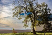 Amazon retoma entrega por drone após acidente no Arizona