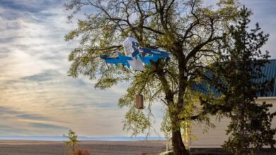 Amazon retoma entrega por drone após acidente no Arizona