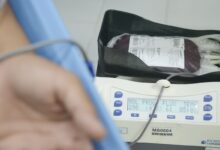 SUS oferecerá terapia menos invasiva para hemofilia infantil