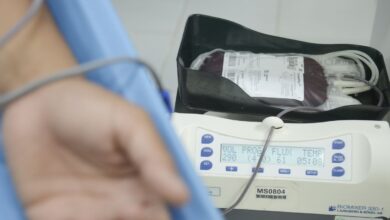 SUS oferecerá terapia menos invasiva para hemofilia infantil