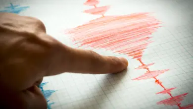 Pesquisa projeta “Big One” mais rápido e destrutivo na Califórnia
