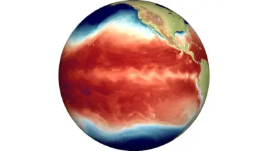 Cientistas alertam em pesquisa: El Niño pode ficar previsível e letal