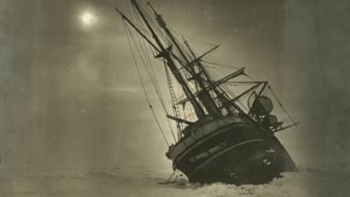 Estudo revela que Shackleton já sabia de falhas no Endurance