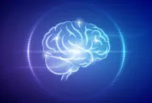 Cientistas descobrem efeito da dieta keto na saúde cerebral