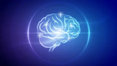 Cientistas descobrem efeito da dieta keto na saúde cerebral
