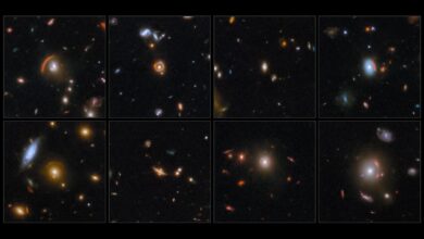 Telescópio James Webb confirma teoria de Einstein 8 vezes