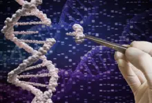MIT desenvolve tecnologia de edição genética de alta precisão