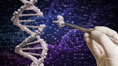 MIT desenvolve tecnologia de edição genética de alta precisão