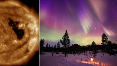 NASA observa buraco colossal no sol que pode gerar auroras