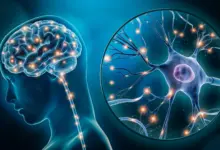Cientistas identificam células cerebrais ligadas à depressão