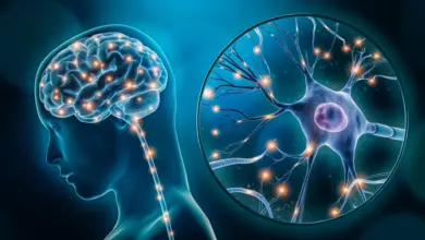 Cientistas identificam células cerebrais ligadas à depressão