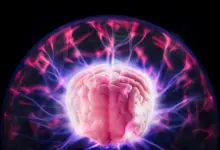 Estudo revela potencial do DMT na recuperação pós-AVC