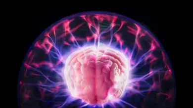 Estudo revela potencial do DMT na recuperação pós-AVC