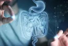 MIT descobre aminoácido que acelera cura intestinal, aponta pesquisa