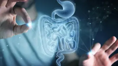 MIT descobre aminoácido que acelera cura intestinal, aponta pesquisa