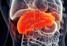 Pesquisa indica suplemento hepático comum potencializa tratamento contra câncer