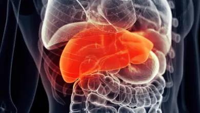 Pesquisa indica suplemento hepático comum potencializa tratamento contra câncer