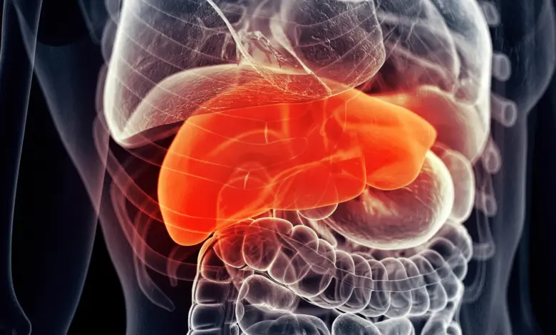 Pesquisa indica suplemento hepático comum potencializa tratamento contra câncer