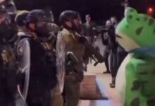 Portland Frog inspira protestos geek em instalação da ICE