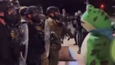 Portland Frog inspira protestos geek em instalação da ICE