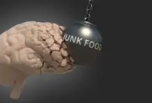 Estudo mostra que corrida reverte danos cerebrais da junk food