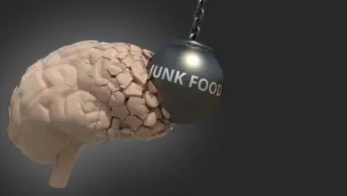 Estudo mostra que corrida reverte danos cerebrais da junk food
