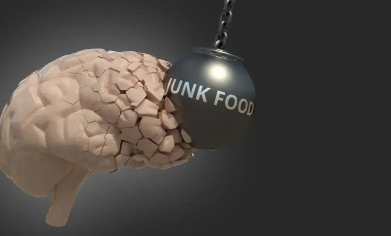 Estudo mostra que corrida reverte danos cerebrais da junk food