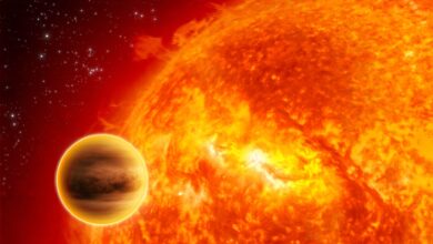 NASA comemora 30 anos da descoberta de exoplanetas