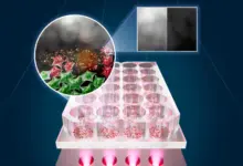 Cientistas desenvolvem LED que elimina células cancerígenas