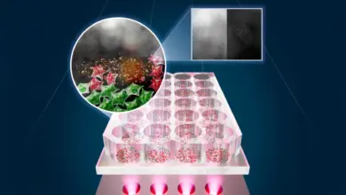 Cientistas desenvolvem LED que elimina células cancerígenas