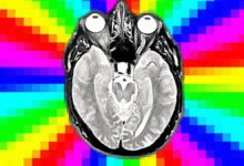 Clickbait prejudica eficácia de modelos de AI na cultura digital